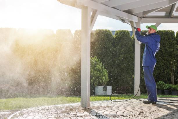 Best Pre-Holiday Cleaning  in Brownsboro, TX
